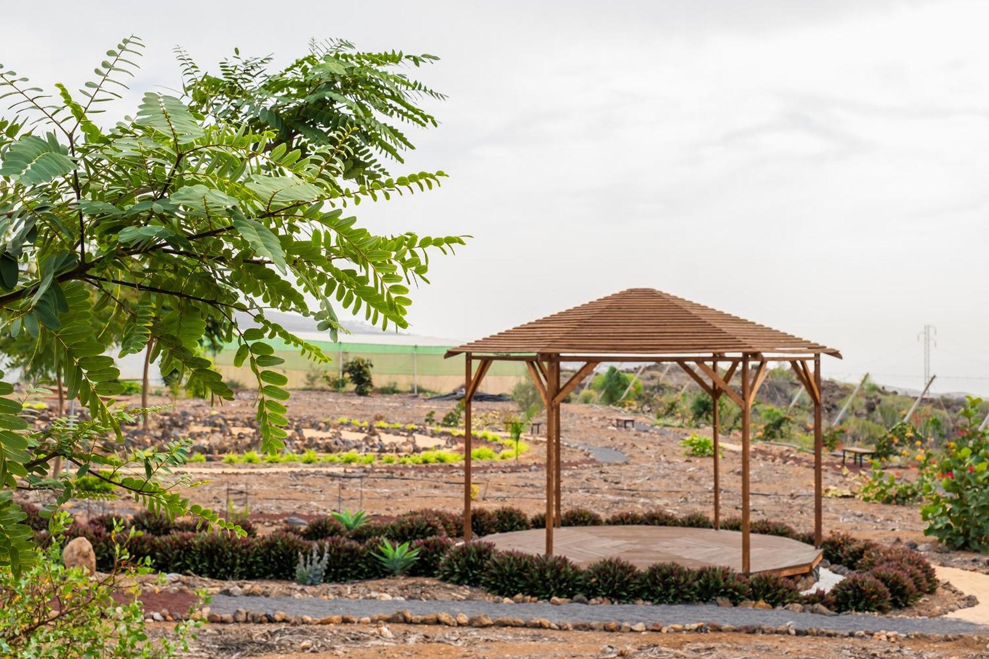 Tenerife Healing Garden เกีย เด อิโซรา ภายนอก รูปภาพ