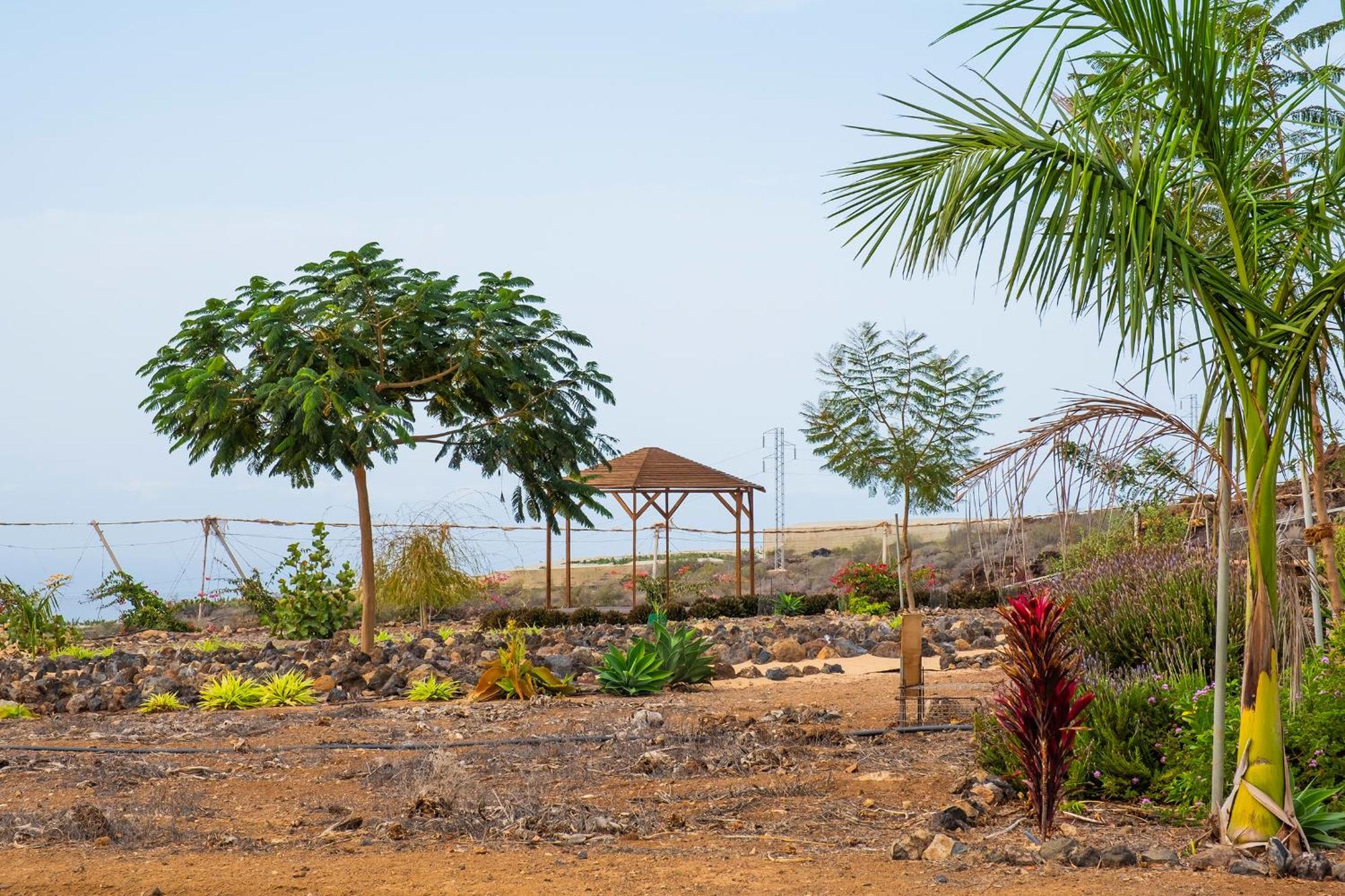 Tenerife Healing Garden เกีย เด อิโซรา ภายนอก รูปภาพ