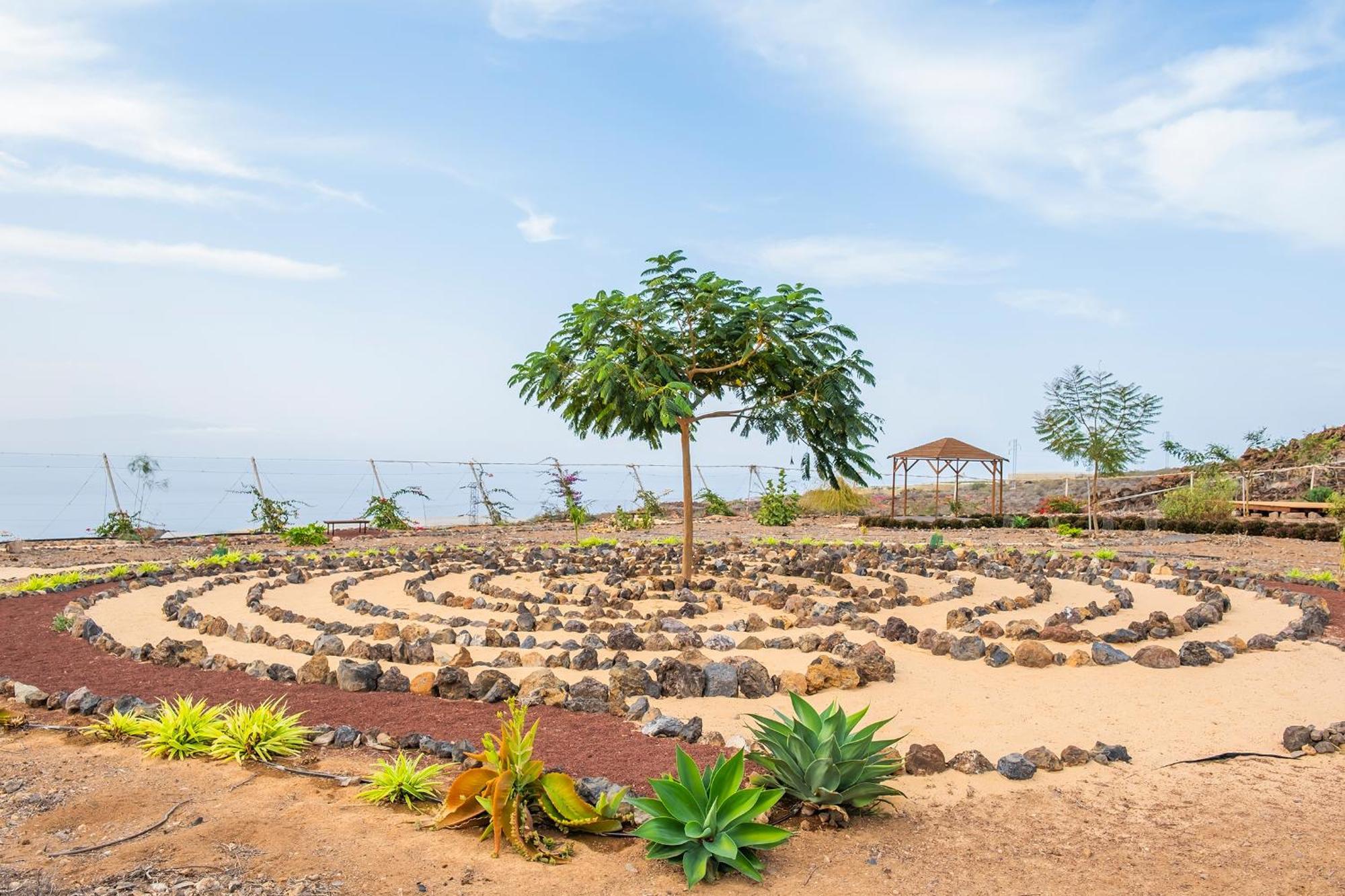 Tenerife Healing Garden เกีย เด อิโซรา ภายนอก รูปภาพ