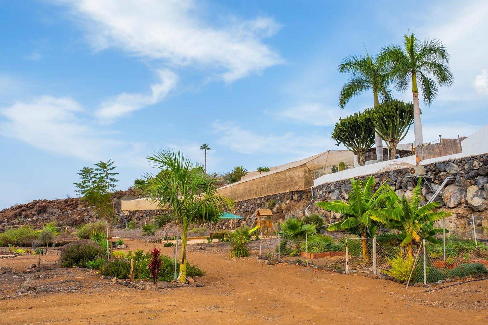 Tenerife Healing Garden เกีย เด อิโซรา ภายนอก รูปภาพ